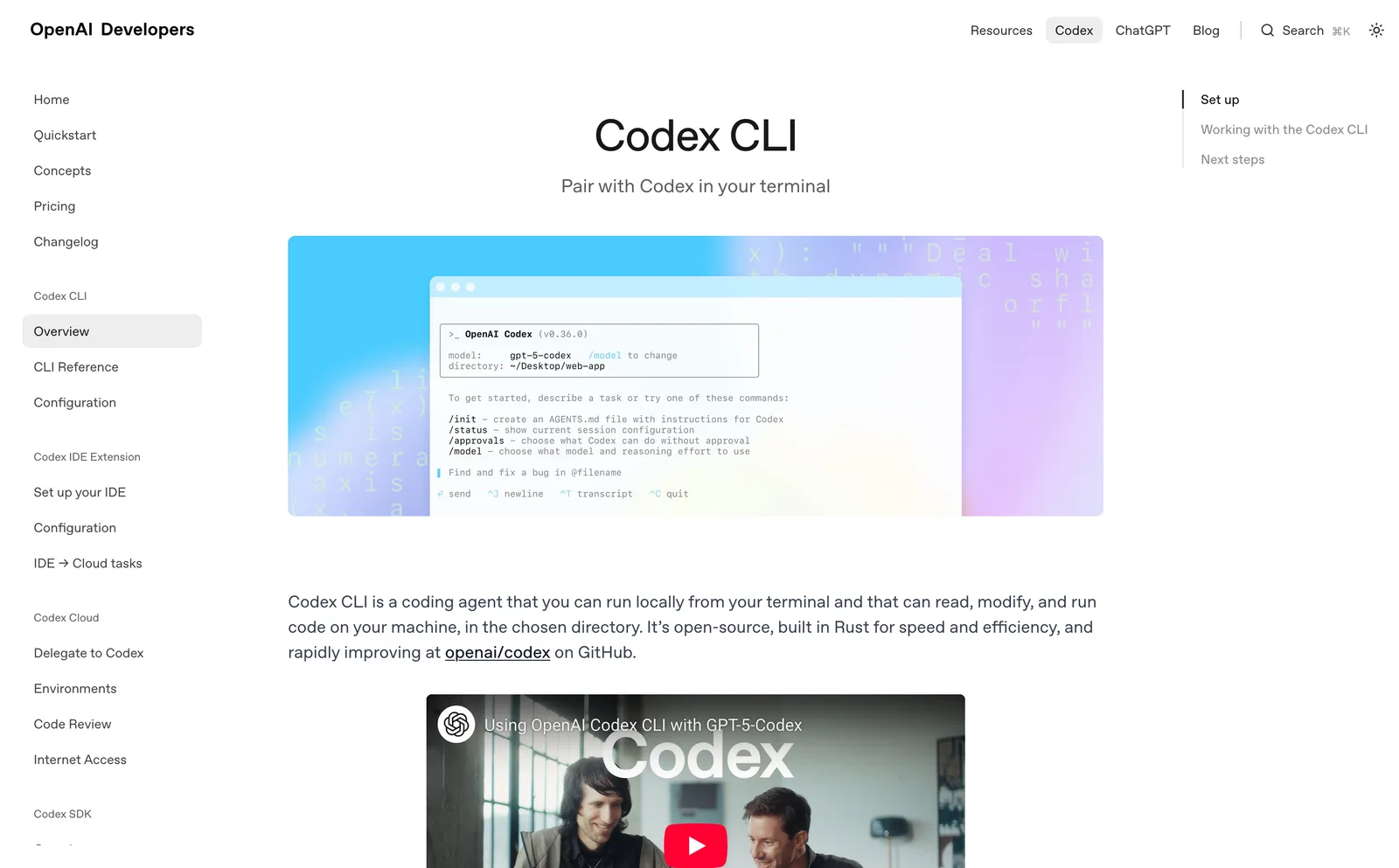 Codex CLI - Open AI